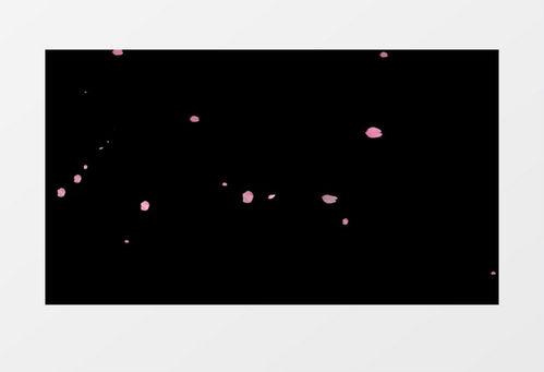 飘落视频素材,捕捉自然之美