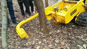 挖路机视频,高效作业瞬间回顾