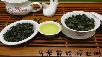 乌龙茶的视频,探寻东方茶韵的神秘之旅