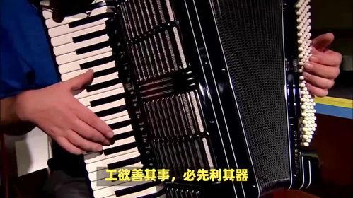手风琴视频教程全集,从入门到精通的全方位学习指南