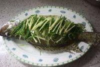 清蒸鳜鱼视频,鲜美滋味，简单易学的家常菜制作教程