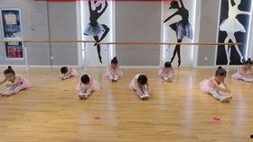 二级舞蹈考级视频大全