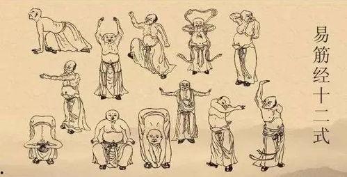 易筋经分解动作教学视频,轻松入门，循序渐进