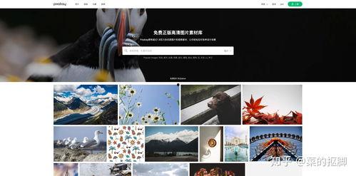 免费视频素材网站推荐,助你轻松打造高质量视频内容