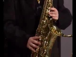 萨克斯初学入门视频,入门视频精华解析