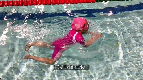 游泳教程初学者视频,视频教程全解析