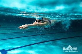 游泳教程初学者视频,视频教程全解析