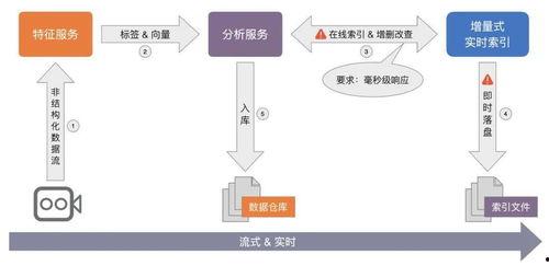 视频检索技术,探索高效内容发现新篇章