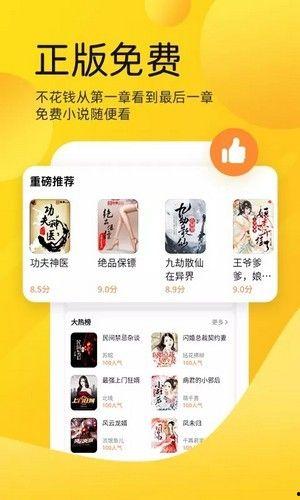 免费视频小说,穿越时空的奇幻之旅
